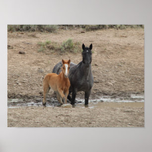 Steens mare and foal poster