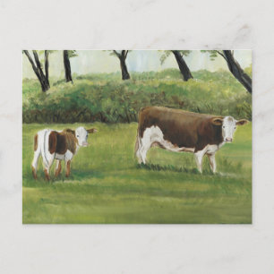 Steer and Calf Art Postcard