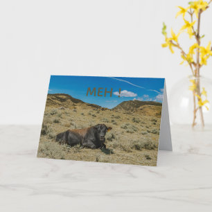 STEER cow mouth says MEH to birthday fun mountain Card