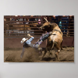 Steer rider takes a fall poster