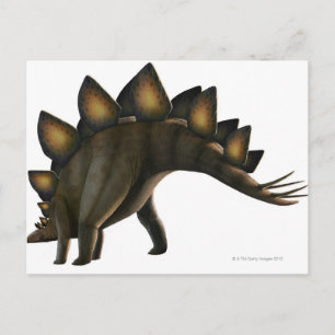 Stegosaurus dinosaur, computer artwork. postcard
