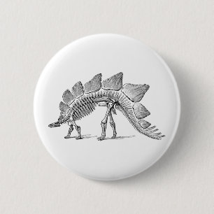 Stegosaurus Dinosaur Skeleton Fossil 2 Inch Round Button