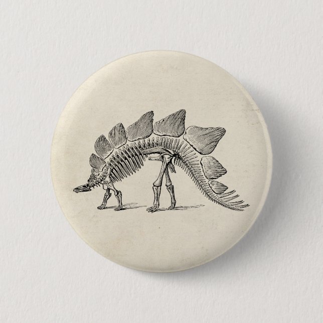 Stegosaurus Dinosaur Skeleton Fossil 2 Inch Round Button (Front)
