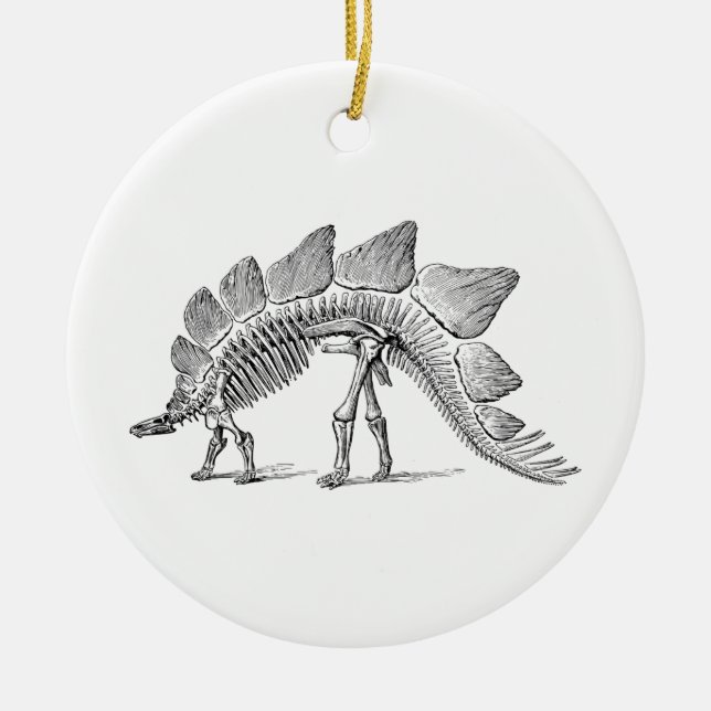 Stegosaurus Dinosaur Skeleton Fossil Ceramic Ornament (Front)