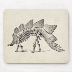 Stegosaurus Dinosaur Skeleton Fossil Mouse Pad