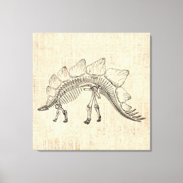 Stegosaurus Dinosaur Skeleton Vintage Script Paper Canvas Print (Front)