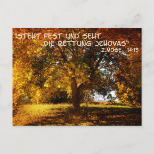Steht fest und seht die Rettung Postcard