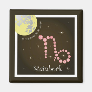 Steinbock 22. Dezember bis 20. Januar Magnet
