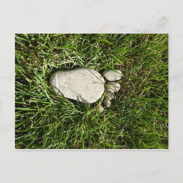 Steinfuss Postcard (Front)