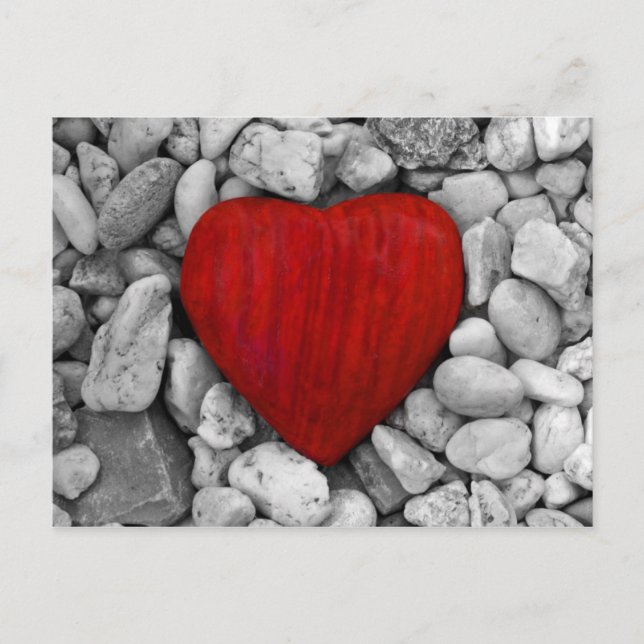 Steinherz Postcard (Front)