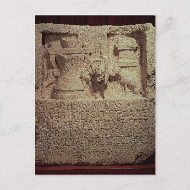 Stele of the miller Marcus Careius Asisa Postcard (Front)