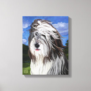 Stella the English Sheep Dog Canvas Print