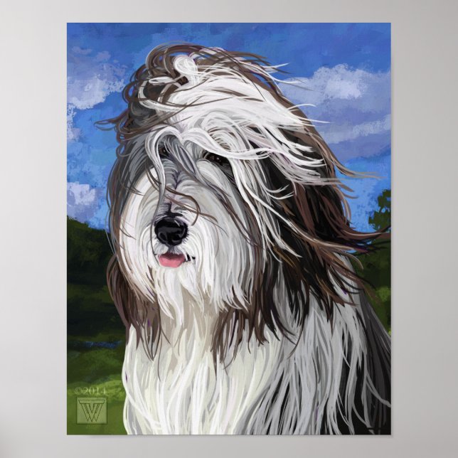 Stella the English Sheep Dog Poster (Front)