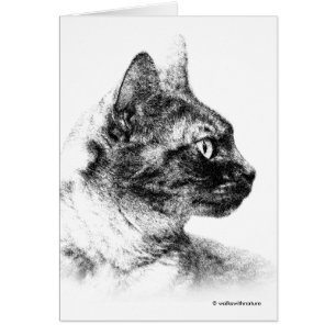 Stella the Grey Cat