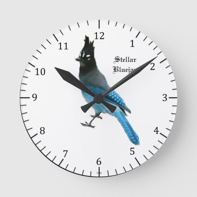 Stellar Blue Jay clock (Front)