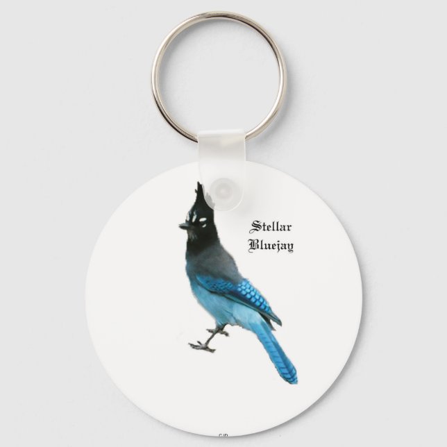 Stellar Blue Jay key chain (Front)