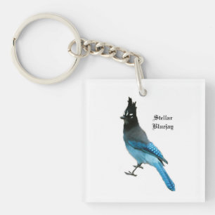 Stellar Blue Jay key chain