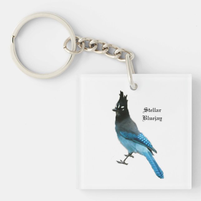 Stellar Blue Jay key chain (Front)