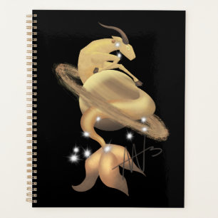 Stellar Capricorn Saturn Zodiac