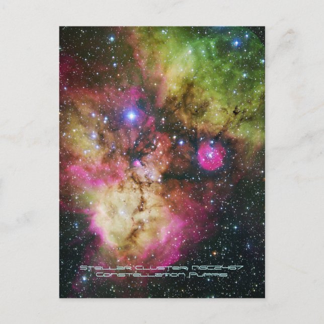 Stellar Cluster - NGC 2467, Constellation Puppis Postcard (Front)