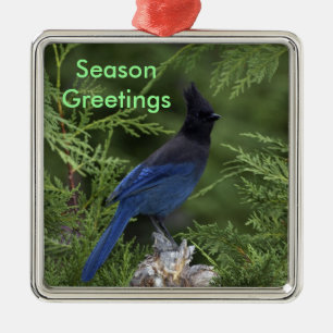 Stellar Jay Christmas Ornament