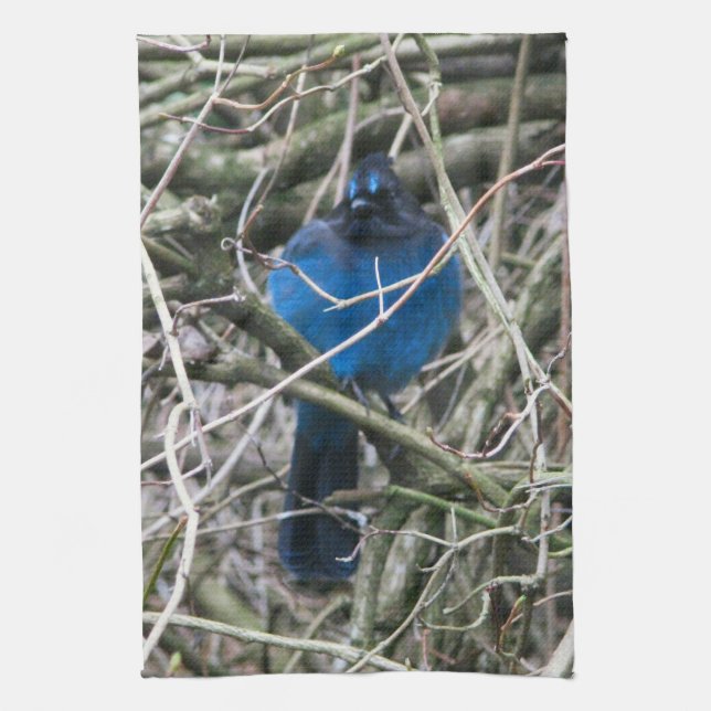 STELLAR JAY KITCHEN TOWEL (Vertical)