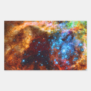 Stellar Nursery R136 in the Tarantula Nebula Sticker
