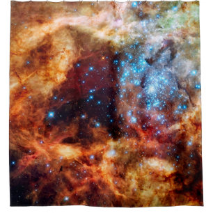 Stellar Nursery R136 Tarantula Nebula NASA Photo