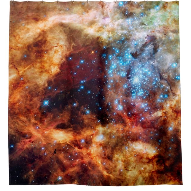 Stellar Nursery R136 Tarantula Nebula NASA Photo (Front)