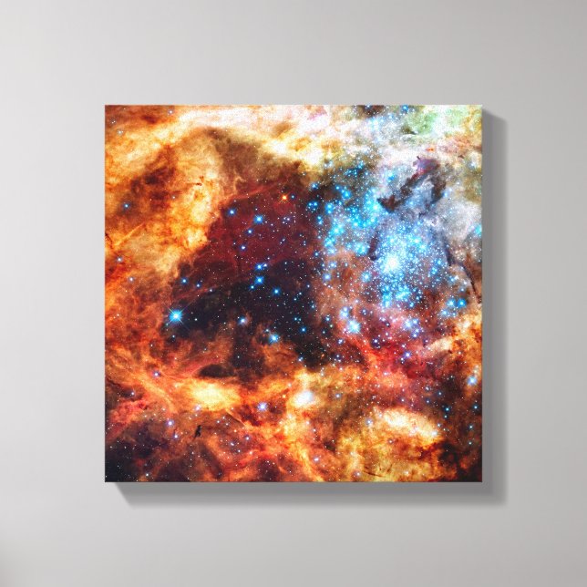 Stellar Nursery R136 Tarantula Nebula NASA Photo Canvas Print (Front)