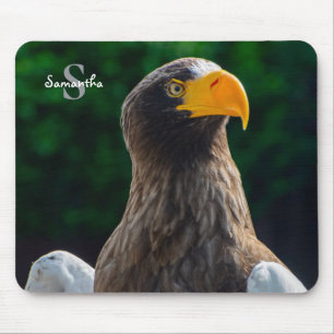 Stellar Sea Eagle Mouse Pad