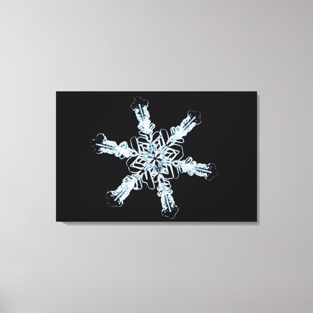 Stellar snow crystal canvas print (Front)