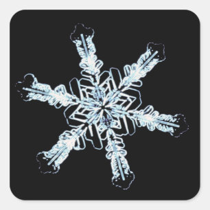 Stellar snow crystal square sticker