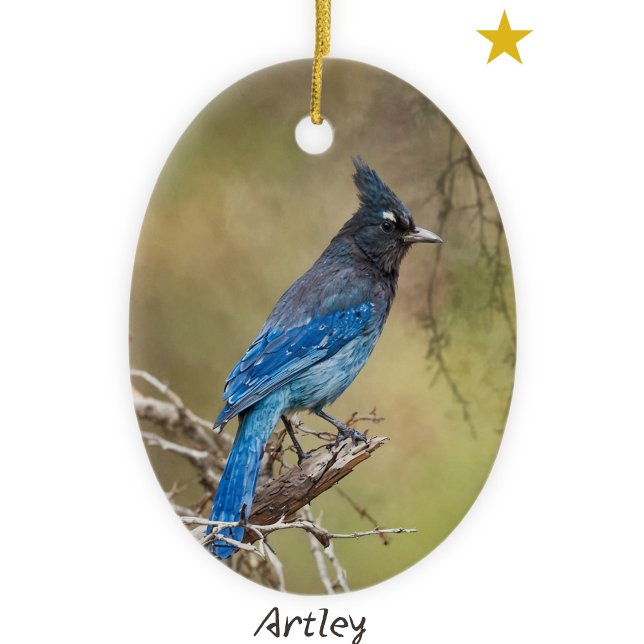 Stellar's Jay Bird Painting Custom Year Christmas Ceramic Ornament (Creator Uploaded)