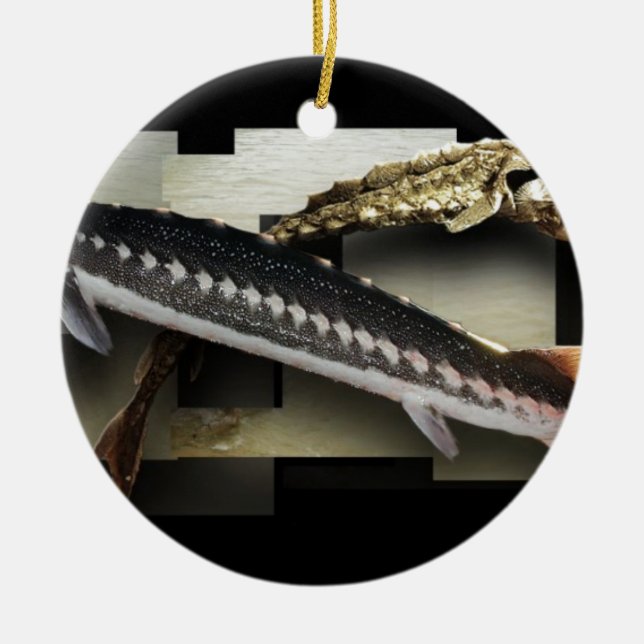 Stellate Sturgeon 3D Collage Ceramic Ornament (Front)