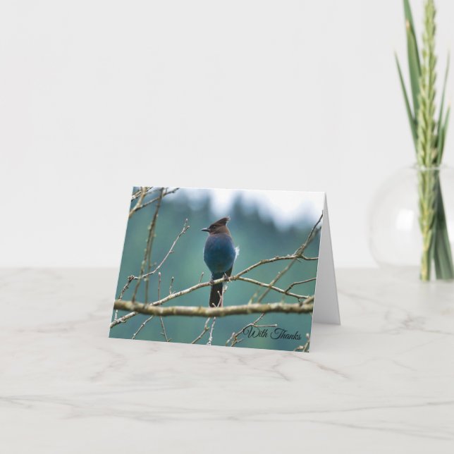 Steller Jay Carte de remerciements (Devant)