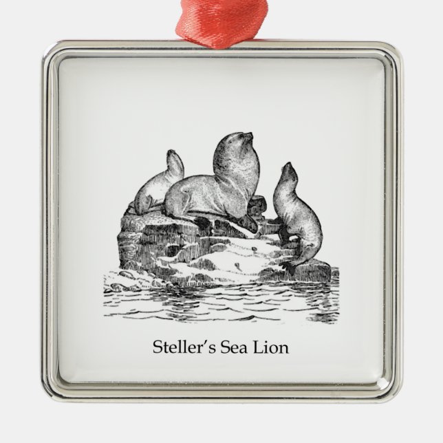 Steller Sea Lion Metal Ornament (Front)