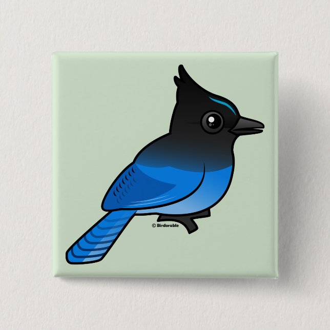 Steller's Jay 2 Inch Square Button (Front)