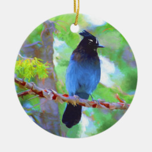 Steller's Jay 2 Painting - Original Bird Art Ceramic Ornament