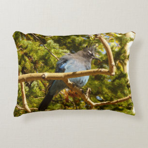 Steller's Jay at Rocky Mountain National Park Accent Pillow