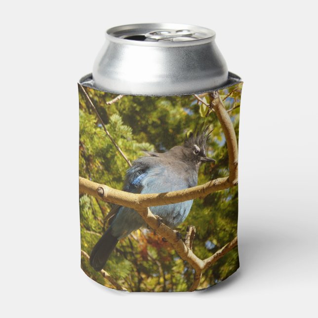 Steller's Jay at Rocky Mountain National Park Can Cooler (Can Front)