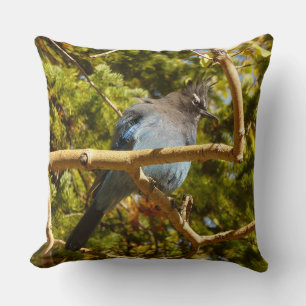 Steller's Jay at Rocky Mountain National Park Throw Pillow