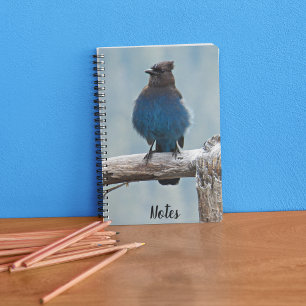 Steller's Jay Bird Photo Notebook