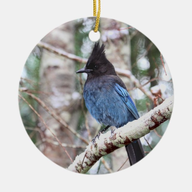Steller's Jay Ceramic Ornament (Front)