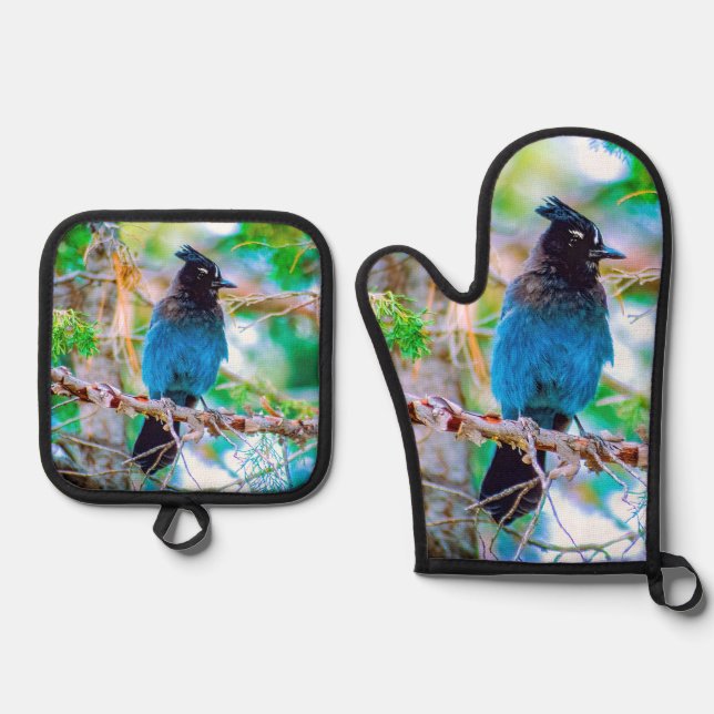 Steller's Jay in Forest Original Photograph Oven Mitt & Pot Holder Set (Front)