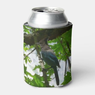 Steller's Jay in Yosemite National Park Can Cooler