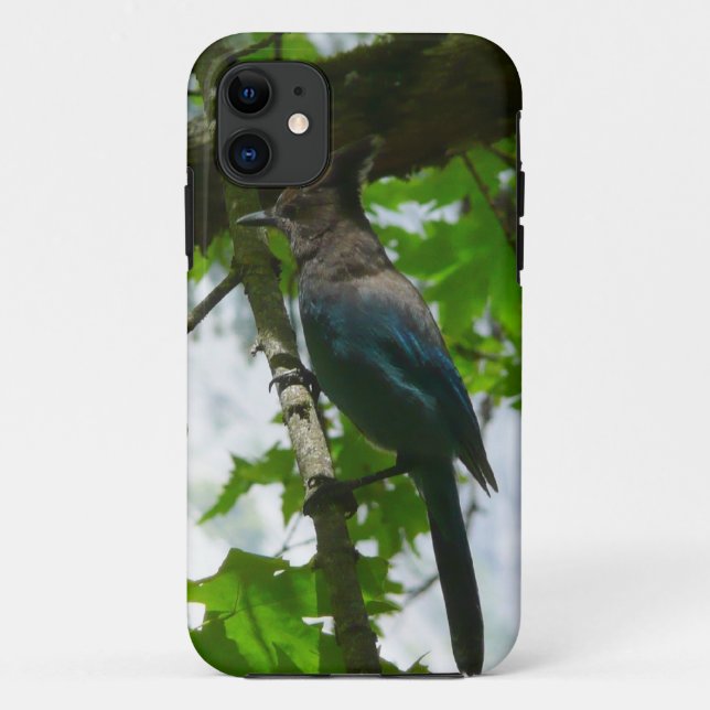 Steller's Jay in Yosemite National Park Case-Mate iPhone Case (Back)