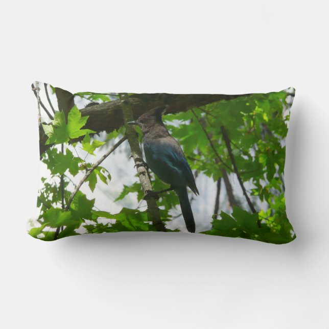 Steller's Jay in Yosemite National Park Lumbar Pillow (Front)