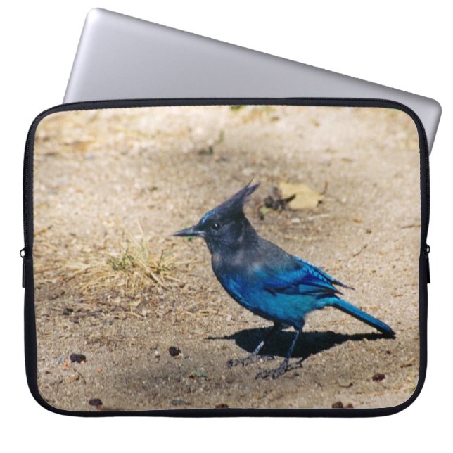 Steller's Jay laptop sleeve (Front)