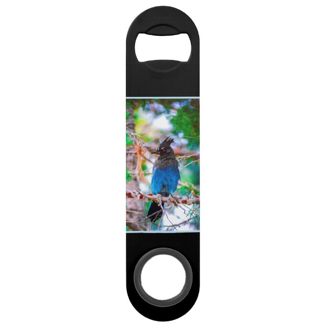 Steller's Jay - Original Photograph Bar Key (Front)